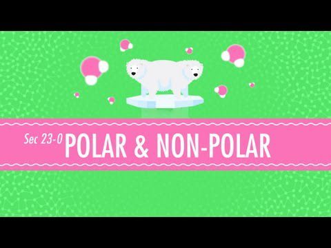 Molecule polare și nepolare: curs intensiv de chimie #23