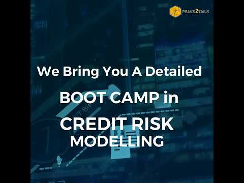 Credit Risk Modelling | 125+ hours | Excel + Python