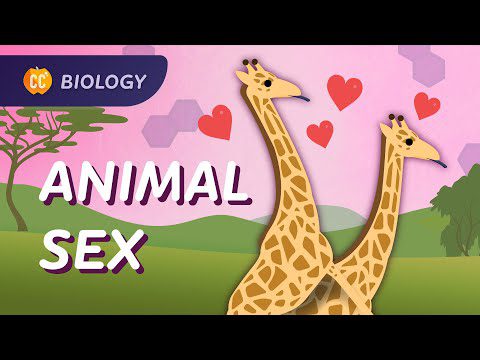 Cum fac animalele: reproducere sexuală și asexuată: curs intensiv de biologie #47