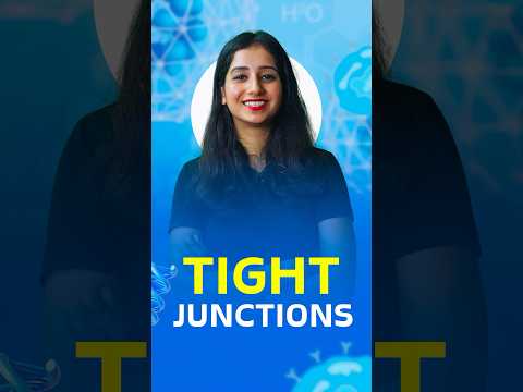 Tight junctions – Extracellular matrix #cellbiology #neet #csirnet #gate #biology #science #cuet