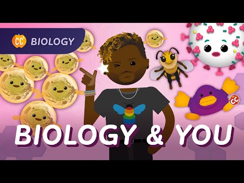 Emisiunea Dr. Sammy: Curs intensiv de biologie #50