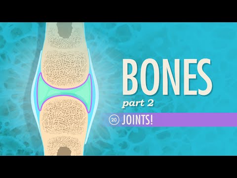 Articulații: Curs intensiv Anatomie și fiziologie #20