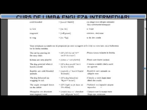 Curs de limba Engleza nivel intermediar (tema+vocabular) – Lectia 8