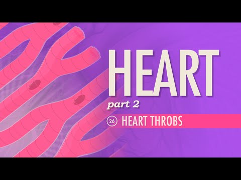 The Heart, Part 2 – Heart Throbs: Crash Course Anatomie & Physiology #26